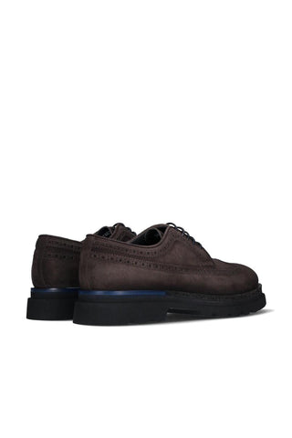 Franceschetti Bienna Suede Wing-Tip Derby (FCCT1134)-AmbrogioShoes