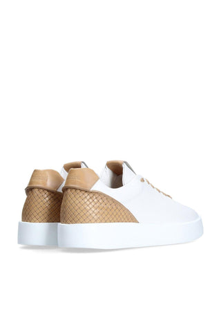 Franceschetti Elia Woven / Calf-Skin Leather Casual Sneakers (FCCT1057)-AmbrogioShoes