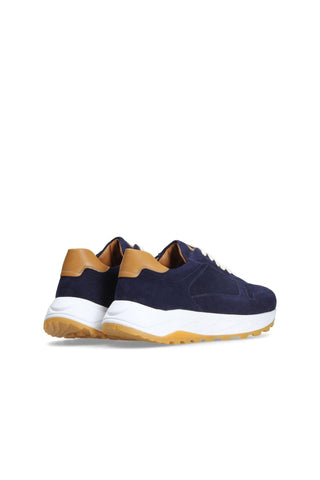 Franceschetti Michael Suede Sneaker-AmbrogioShoes