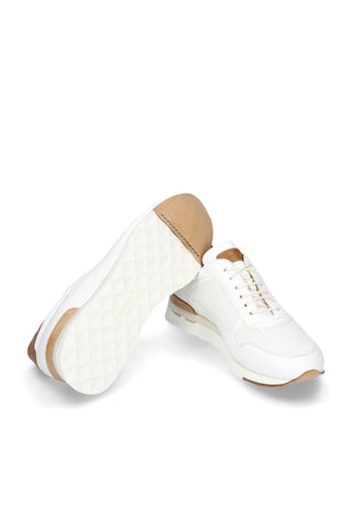 Franceschetti Nara Deer Sneakers-AmbrogioShoes