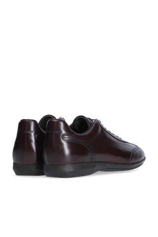 Franceschetti Vicenza Leather Casual Sneakers (FCCT1047)