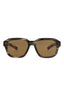 20355 - Havana Havana Brown