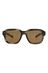 20355 - Havana Havana Brown