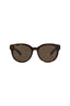 20355 - Havana Havana Brown