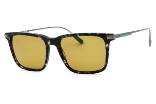 Lacoste L6017S Sunglasses HAVANA GREY/Green-AmbrogioShoes
