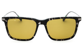 Lacoste L6017S Sunglasses HAVANA GREY/Green-AmbrogioShoes
