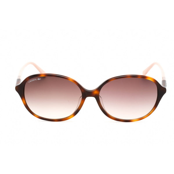 Lacoste L854SA Sunglasses Havana / Brown Gradient-AmbrogioShoes