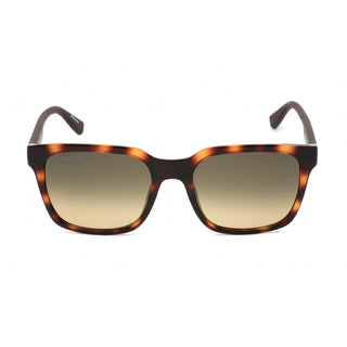 Lacoste L967S Sunglasses HAVANA / Brown Gradient-AmbrogioShoes
