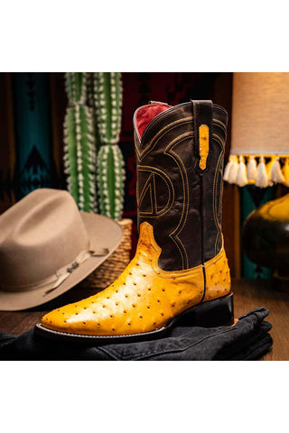 Marco Di Milano Alabama Buttercup Exotic Ostrich Skin Cowboy Boot (MDM1225)-AmbrogioShoes