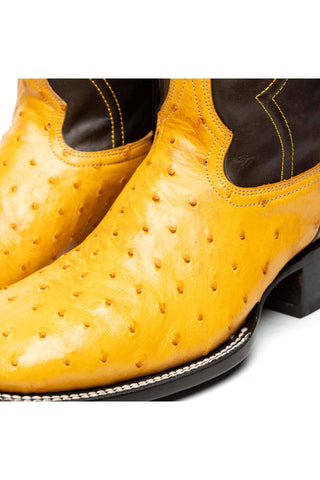 Marco Di Milano Alabama Buttercup Exotic Ostrich Skin Cowboy Boot (MDM1225)-AmbrogioShoes