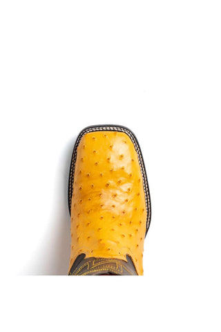Marco Di Milano Alabama Buttercup Exotic Ostrich Skin Cowboy Boot (MDM1225)-AmbrogioShoes