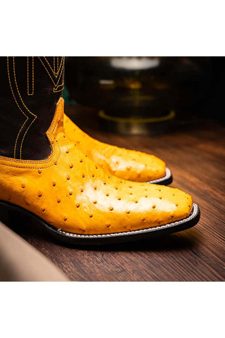 Marco Di Milano Alabama Buttercup Exotic Ostrich Skin Cowboy Boot (MDM1225)-AmbrogioShoes