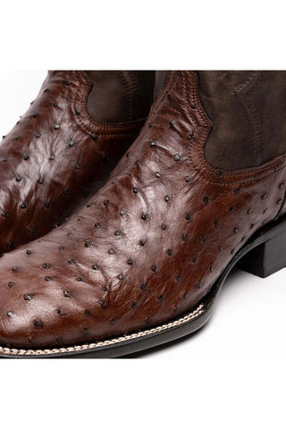 Marco Di Milano Alabama Kango Tabac Exotic Ostrich Skin Cowboy Boot (MDM1221)-AmbrogioShoes