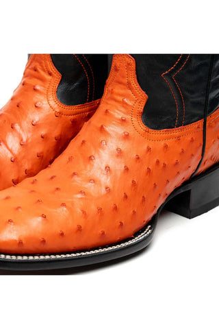 Marco Di Milano Alabama Orange Exotic Ostrich Skin Cowboy Boot (MDM1224)-AmbrogioShoes
