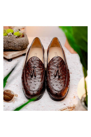 Marco Di Milano Aubiere Exotic Brown Ostrich Tassels Loafers (MDM1198)-AmbrogioShoes