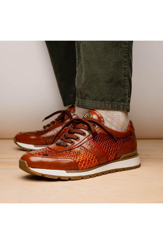 Marco Di Milano Brescia Honey Genuine Snake Skin / Calf-Skin Leather Sneakers (MDM1124)-AmbrogioShoes