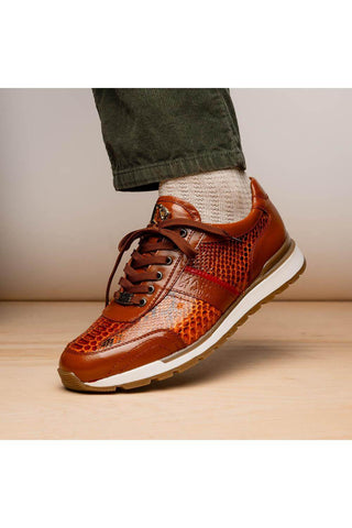Marco Di Milano Brescia Honey Genuine Snake Skin / Calf-Skin Leather Sneakers (MDM1124)-AmbrogioShoes