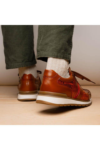 Marco Di Milano Brescia Honey Genuine Snake Skin / Calf-Skin Leather Sneakers (MDM1124)-AmbrogioShoes