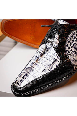 Marco Di Milano Caribe Newspaper & Black Genuine Hornback Caiman Crocodile Derby (MDM1118)-AmbrogioShoes