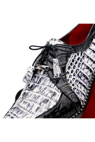 Marco Di Milano Caribe Newspaper & Black Genuine Hornback Caiman Crocodile Derby (MDM1118)-AmbrogioShoes