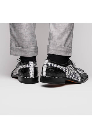 Marco Di Milano Caribe Newspaper & Black Genuine Hornback Caiman Crocodile Derby (MDM1118)-AmbrogioShoes