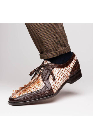 Marco Di Milano Caribe White & Brown Genuine Hornback Caiman Crocodile Derby (MDM1118)-AmbrogioShoes
