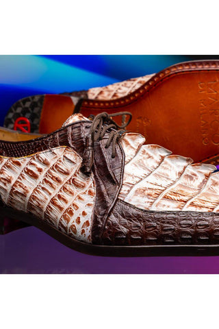 Marco Di Milano Caribe White & Brown Genuine Hornback Caiman Crocodile Derby (MDM1118)-AmbrogioShoes