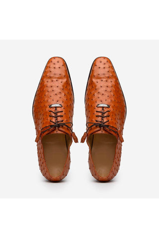 Marco Di Milano Criss Brandy Exotic Ostrich Quill Oxfords (MDM1073)-AmbrogioShoes