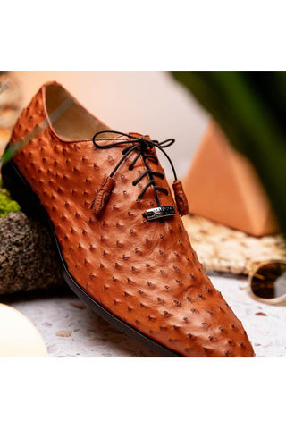 Marco Di Milano Criss Brandy Exotic Ostrich Quill Oxfords (MDM1073)-AmbrogioShoes