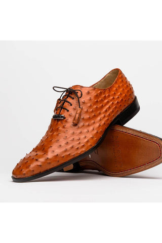 Marco Di Milano Criss Brandy Exotic Ostrich Quill Oxfords (MDM1073)-AmbrogioShoes