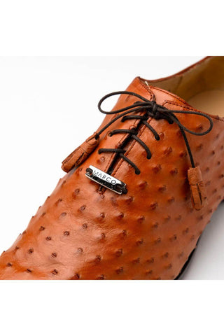 Marco Di Milano Criss Brandy Exotic Ostrich Quill Oxfords (MDM1073)-AmbrogioShoes