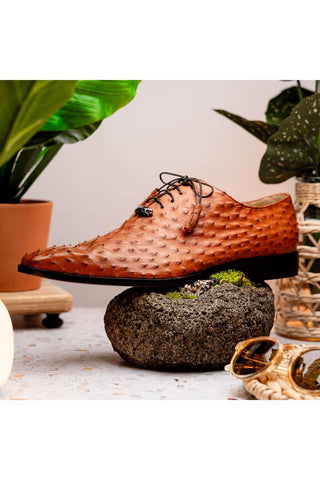 Marco Di Milano Criss Brandy Exotic Ostrich Quill Oxfords (MDM1073)-AmbrogioShoes