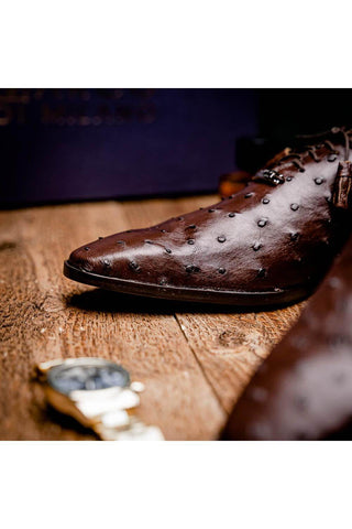 Marco Di Milano Criss Exotic Brown Ostrich Quill Oxfords (MDM1073)-AmbrogioShoes