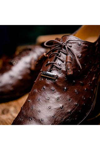 Marco Di Milano Criss Exotic Brown Ostrich Quill Oxfords (MDM1073)-AmbrogioShoes