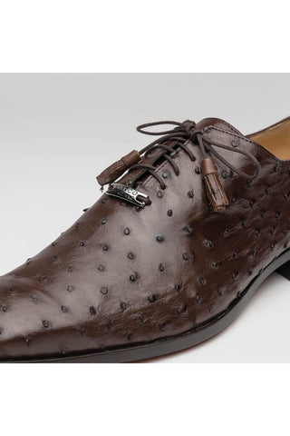 Marco Di Milano Criss Exotic Brown Ostrich Quill Oxfords (MDM1073)-AmbrogioShoes
