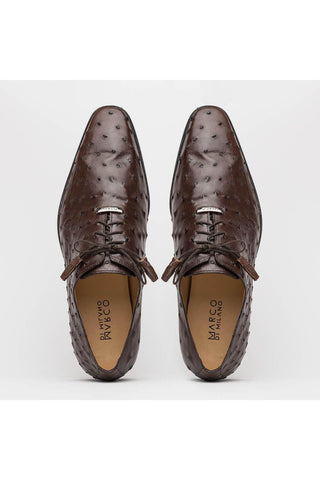 Marco Di Milano Criss Exotic Brown Ostrich Quill Oxfords (MDM1073)-AmbrogioShoes