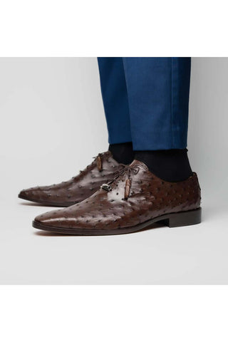Marco Di Milano Criss Exotic Brown Ostrich Quill Oxfords (MDM1073)-AmbrogioShoes