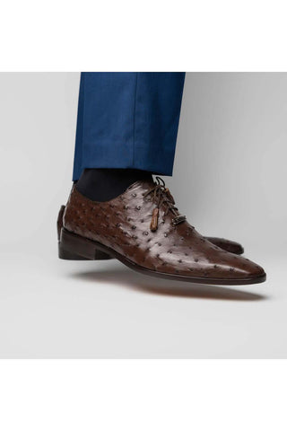Marco Di Milano Criss Exotic Brown Ostrich Quill Oxfords (MDM1073)-AmbrogioShoes