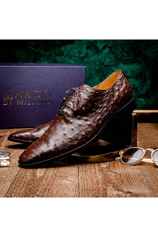 Marco Di Milano Criss Exotic Brown Ostrich Quill Oxfords (MDM1073)-AmbrogioShoes