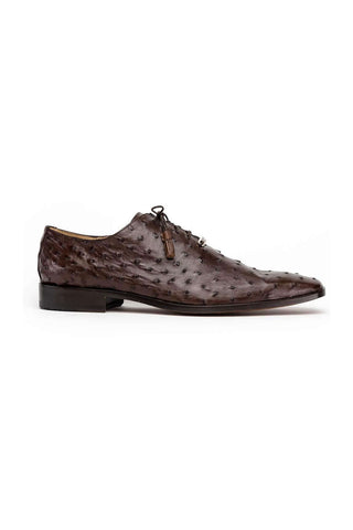 Marco Di Milano Criss Exotic Brown Ostrich Quill Oxfords (MDM1073)-AmbrogioShoes
