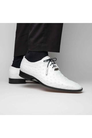Marco Di Milano Criss White Exotic Ostrich Quill Oxfords (MDM1073)-AmbrogioShoes