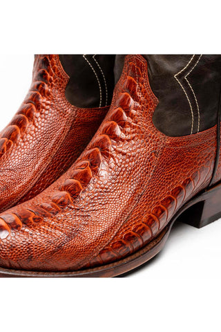 Marco Di Milano Denver Rustic Cognac Exotic Ostrich Skin Cowboy Boot (MDM1219)-AmbrogioShoes