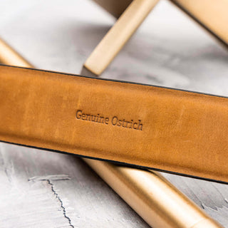 Marco Di Milano Domenico Men's Black Genuine Ostrich Skin Belts (MDMB1047)-AmbrogioShoes