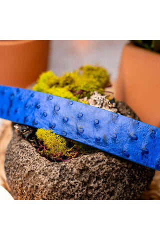 Marco Di Milano Domenico Men's Electric Blue Genuine Ostrich Skin Belts (MDMB1047)-AmbrogioShoes