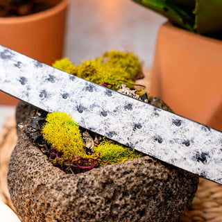 Marco Di Milano Domenico Men's Newspaper Genuine Ostrich Skin Belts (MDMB1047)-AmbrogioShoes