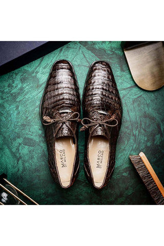 Marco Di Milano Lacio Brown Exotic Crocodile Derby (MDM1019)-AmbrogioShoes