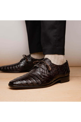 Marco Di Milano Lacio Brown Exotic Crocodile Derby (MDM1019)-AmbrogioShoes