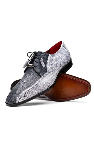 Marco Di Milano Lucca Newspaper Exotic Stingray / Ostrich Derby's (MDM1105)-AmbrogioShoes