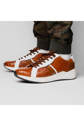 Marco Di Milano Lyon II Brandy & White Calf-Skin / Ostrich Leg Casual Sneakers (MDM1068)-AmbrogioShoes
