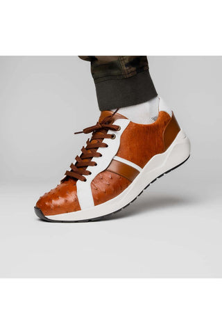 Marco Di Milano Lyon II Brandy & White Calf-Skin / Ostrich Leg Casual Sneakers (MDM1068)-AmbrogioShoes